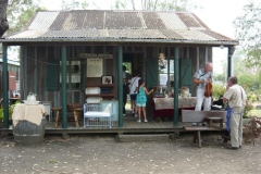 P1010587