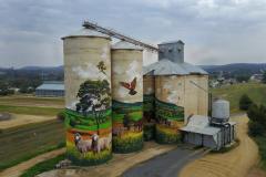 DJI_0553-Copy