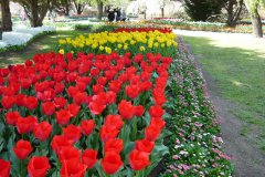 69438047_502127103910945_7758569742587133952_o