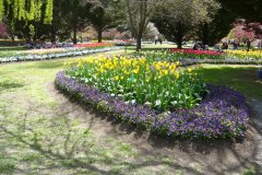 70979857_502128023910853_2264484621636861952_o