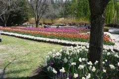 70980121_502128537244135_7571819281747279872_o