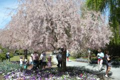 71089523_502126863910969_5031081264120070144_o