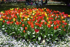 71107621_502127433910912_4998388479869059072_o