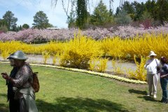 71220329_502128250577497_74982179003695104_o