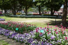 71375066_502128090577513_8262385619909476352_o