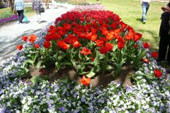 71378577_502128453910810_2870649084291579904_o