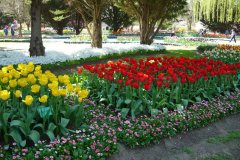 71685235_502127093910946_1374293512136163328_o