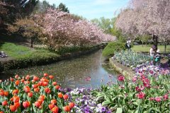 71752883_502126837244305_2530001011704070144_o