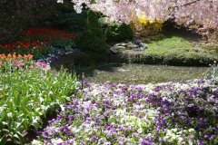 71816878_502128317244157_1991900145624547328_o