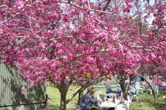 72186112_502128990577423_3492111413000798208_o