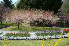 72406914_502128357244153_5319012448554975232_o