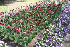 72607509_502127073910948_3168269431478419456_o